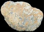 Polished Baryte and Marcasite - Lubin Mine, Poland #60422-1